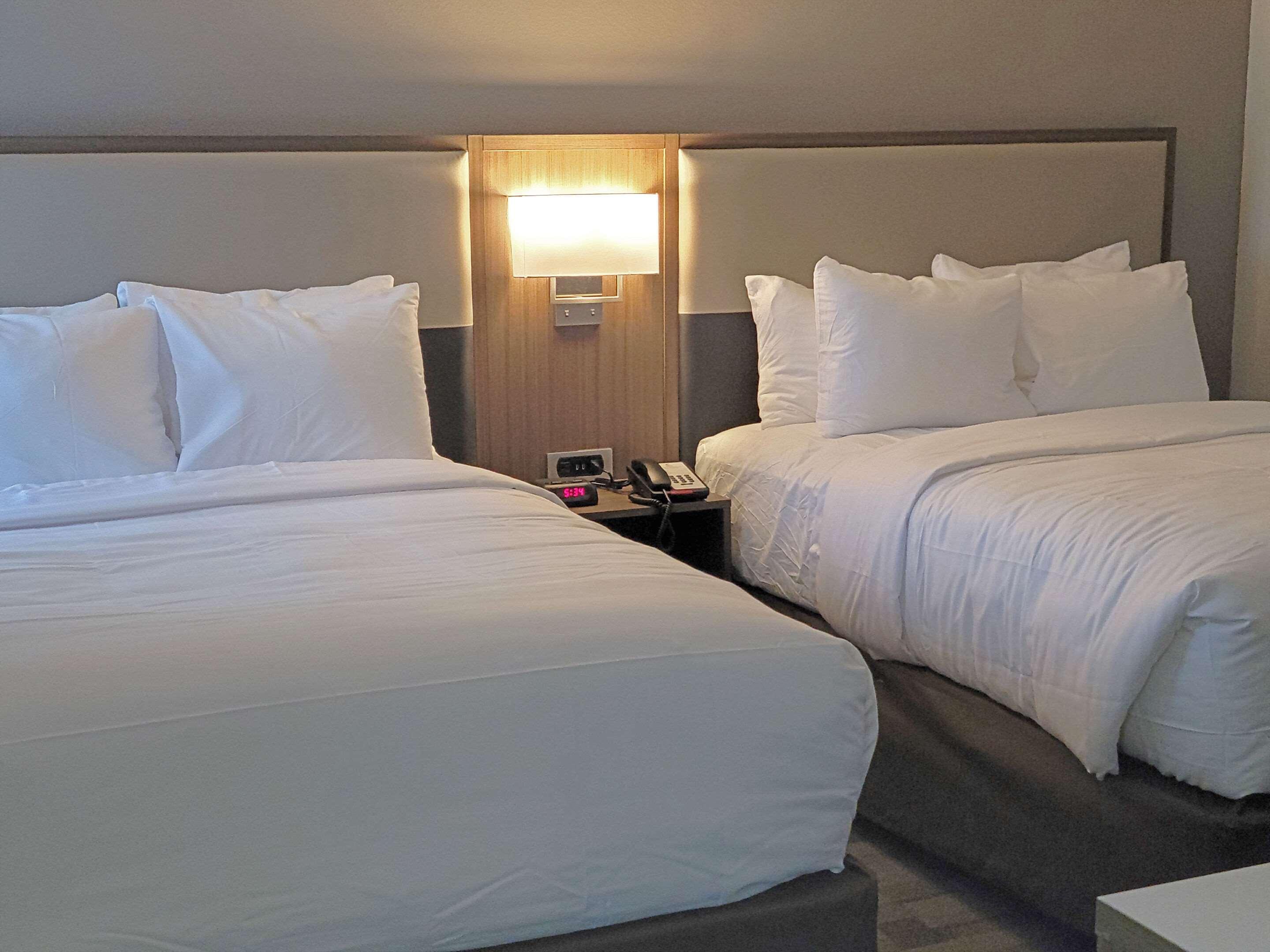 Comfort Inn&Suites Wyomissing - Reading Zewnętrze zdjęcie